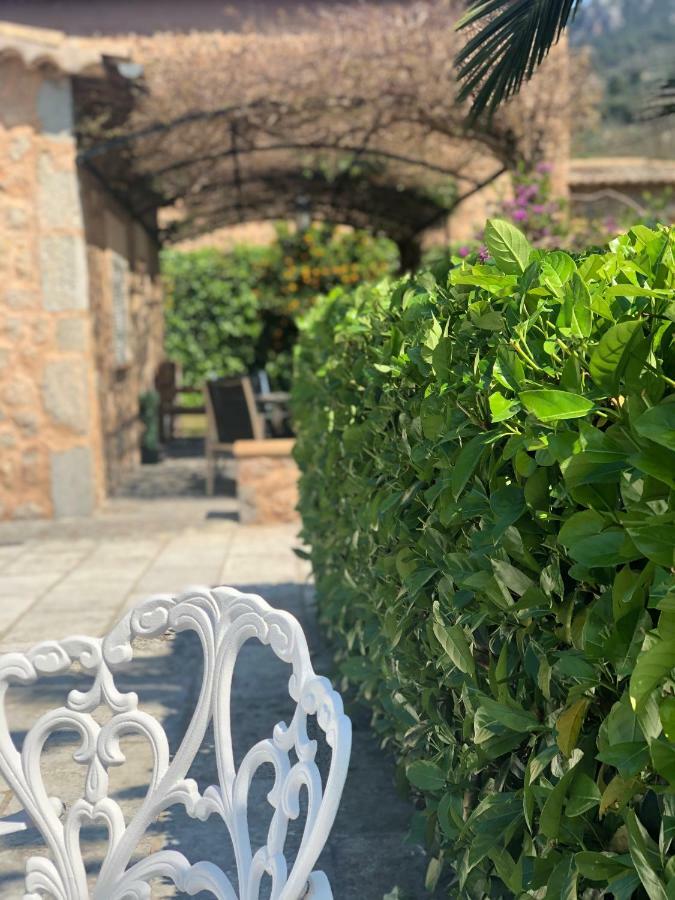 Ses Llimoneres Holiday home